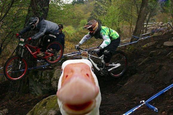 ����Ц������������ ��ЦͼƬЦ����